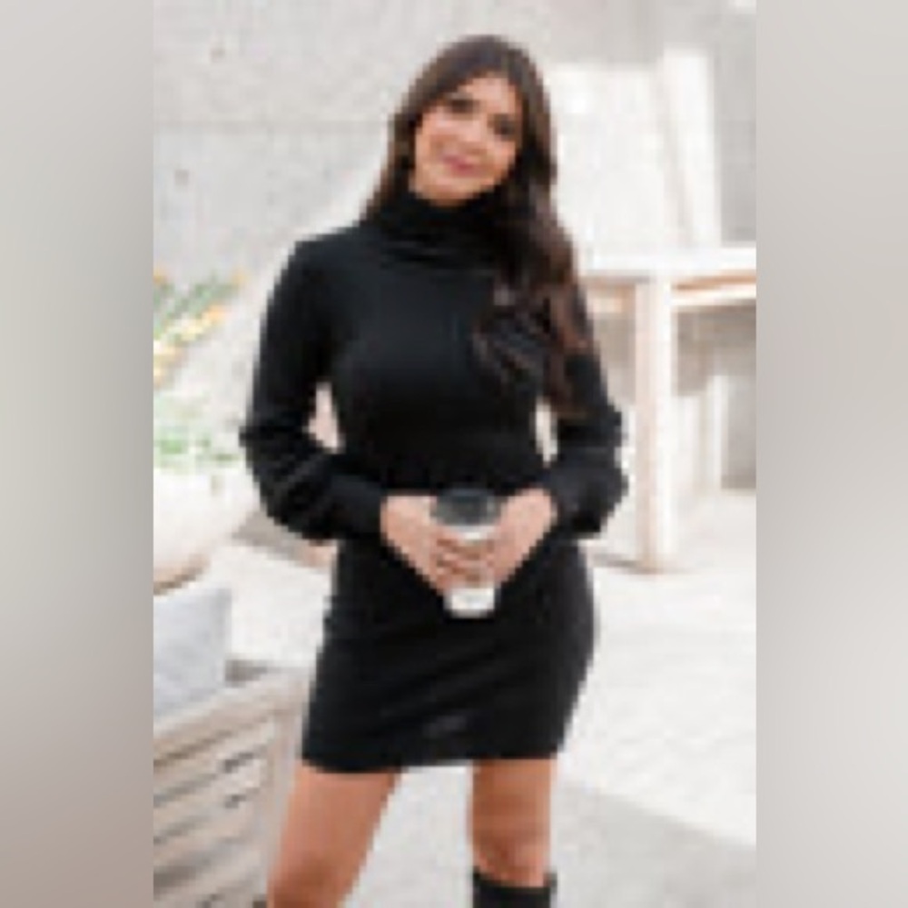 Pink Lily Black Turtleneck Long-Sleeve Bodycon Women's Dress -2XL